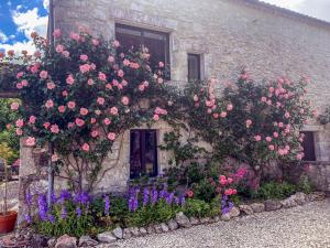 Villas La Bourriette : photos des chambres