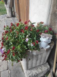 Gite de peupliers