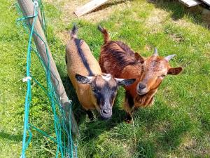 Sejours chez l'habitant Clos Malypense chez Mr Montamat : photos des chambres