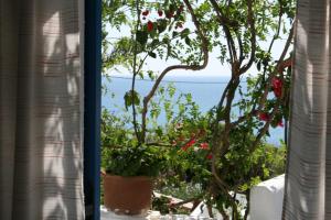 Flora's Apartments Naxos Greece