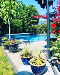 B &B Yuupke Maasbree Noord-Limburg Venlo Roermond