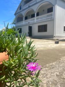 Lisas Villa in Chakvi