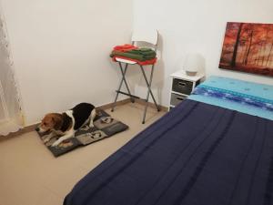 Ciao b&b
