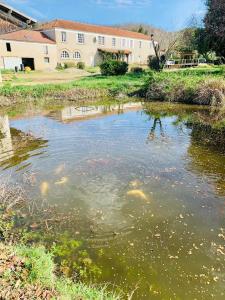 Chalets Gite Bidallon : photos des chambres