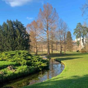 Appartements Appartement de charme proche chateau et foret : photos des chambres