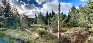 Cozy child-friendly house