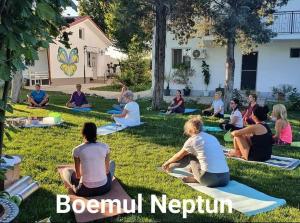 Boemul Neptun