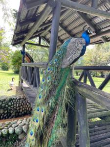 Lake House Resort Country Club & Spa