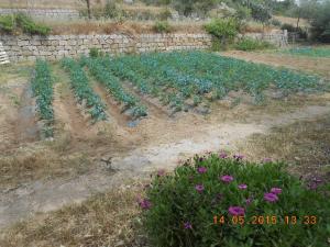 S'Imbragu Farm B&B img93