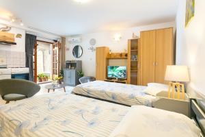 Studio room in Apartments with WiFi Split - 7596