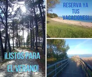 Areos de Cabío - Palmeira