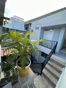 Hostal Casa Jardin Cartagena