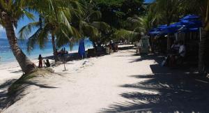 birdwatchers beachfront hotel panglao