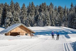 Appartements Studio avec acces piscine, sauna : photos des chambres