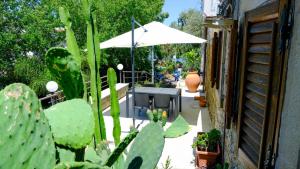 La Casa dei due Ulivi