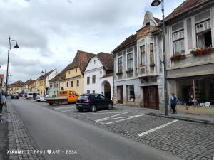 Buon Gusto Old Town Apartment Sibiu