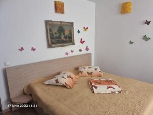 Apartament Celia