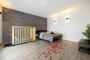 Appartements Cosy Room Jacuzzi Romantique : photos des chambres