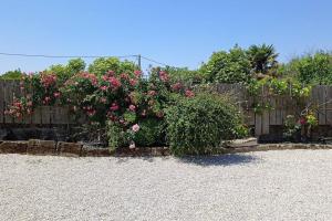 Maisons de vacances Gite de charme : photos des chambres