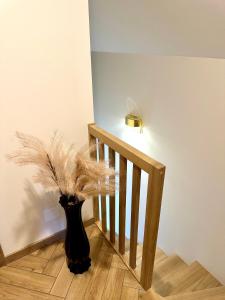 Gražinos poilsio namai