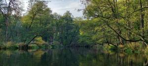 Ośrodek Wypoczynkowy Nad Brdą