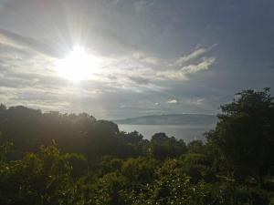 Primero Seixo antiguo