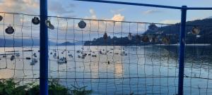 Primero Seixo antiguo