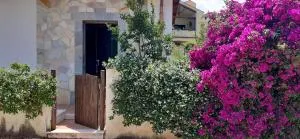 8 Via V. Monti - Loiri