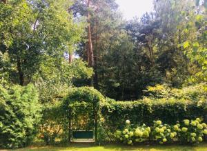 House on the edge of forest by Zalew Sulejowski