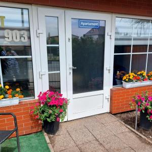 Apartament przy Białym Koniu