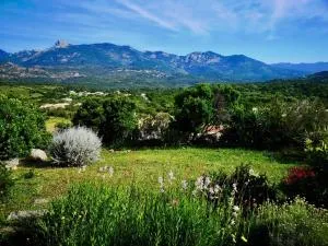 Appartements avec jardin entre Porto-Vecchio et Figari - Casa Mattiste - Pietralonga