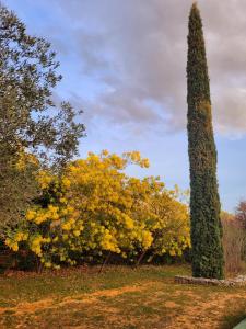 Maisons de vacances Jolie maison en plein coeur du Luberon : photos des chambres