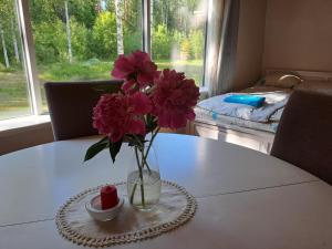 Nedsaja metsamaja ja saun