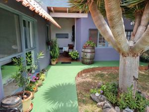 Finca-Las Mariposas 2