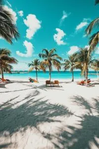 Blue Bay Lodges - Willibrordus