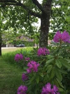 Le Pré des Fées - Theillay