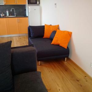 Apartmán u Skiareálu Filipovice