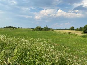 Dom całoroczny nad jeziorem Brajnickim