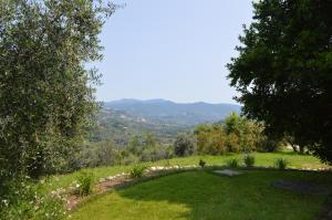 Villa Collebelvedere - Near Rome with Home Restaurant