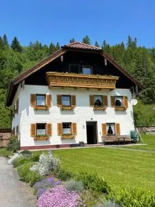 Haus Tanne Abtenau - Seidegg