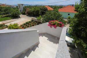 Apartment Alfonso 