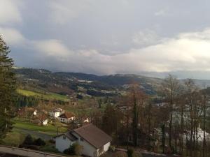 Appartements Duplex - Proche de Gerardmer : photos des chambres