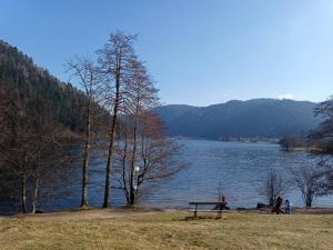 Appartements Duplex - Proche de Gerardmer : photos des chambres