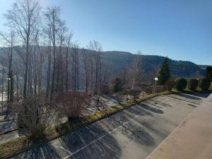 Appartements Duplex - Proche de Gerardmer : photos des chambres