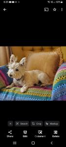 Saint Martins Bed and Breakfast