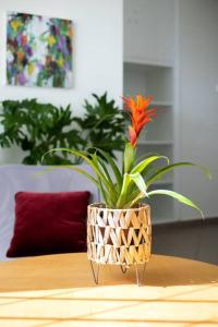 Best spot apartment in Athens