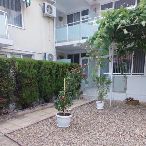 Guest rooms and apartments Desi