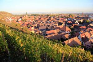 Maisons de vacances Le 6 : maison individuelle au coeur de l'Alsace : photos des chambres