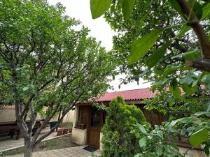 Double Room with Garden View room in Popock City Center