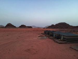 Salamehs Bedouin Camp